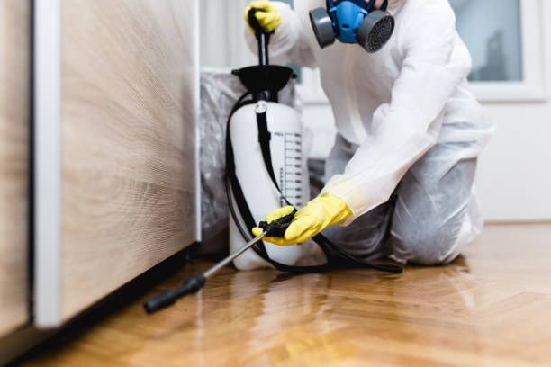 Best Pest Prevention Services  in Greenland, AR