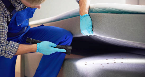 Best Cockroach Control Services  in Greenland, AR