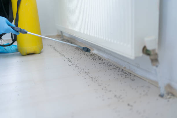 Best Best Pest Control Companies  in Greenland, AR